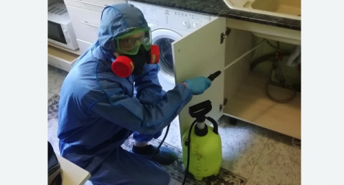 Уничтожение муравьев в квартире. Усинск