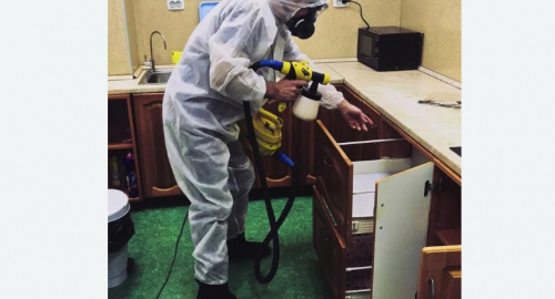 Уничтожение насекомых в квартире. Усинск