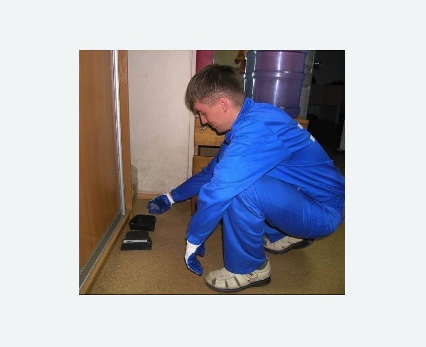 Дератизация крыс в Усинске