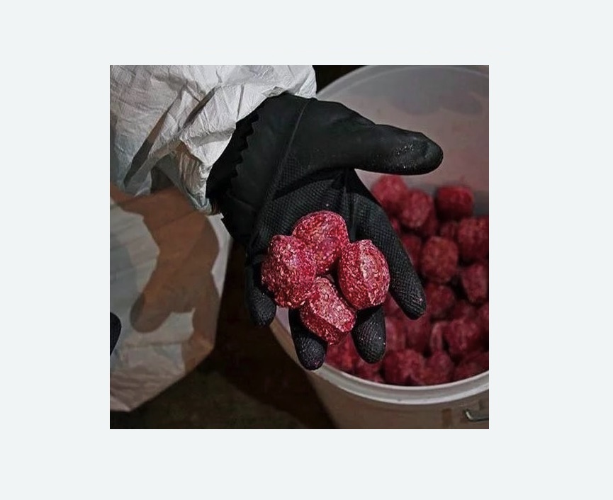 Обработка от крыс в Усинске