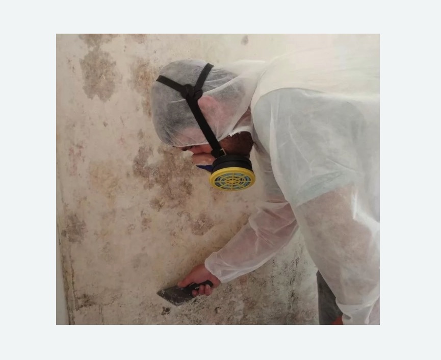 Обработка стен от плесени в Усинске