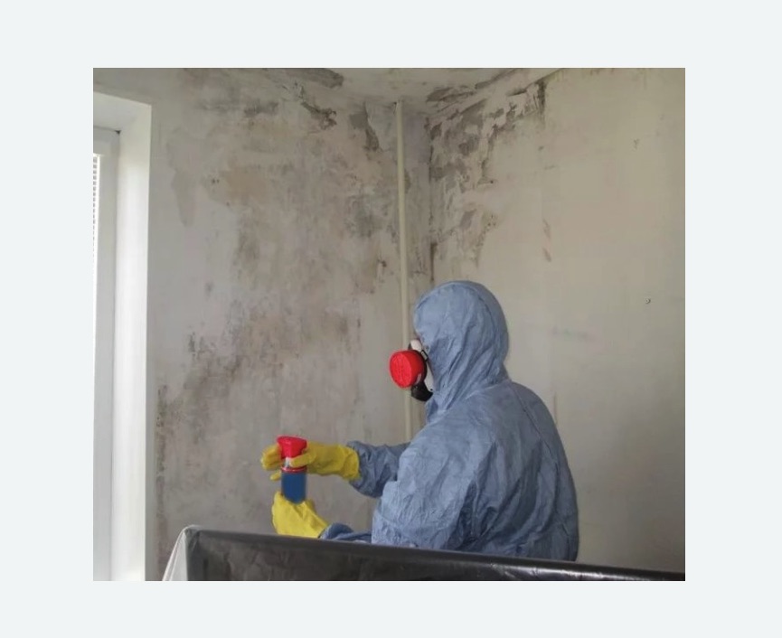 Удаление плесени в квартире в Усинске