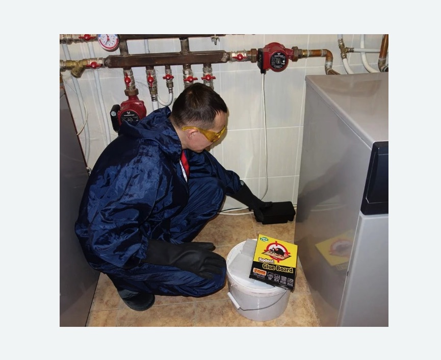 Уничтожение крыс в Усинске