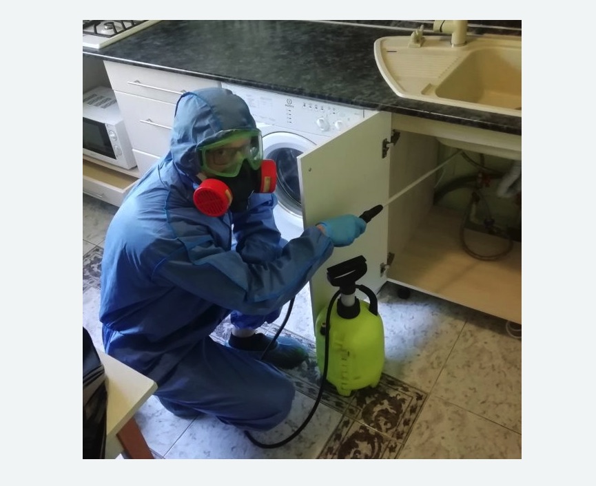 обработка от муравьев в квартире в Усинске