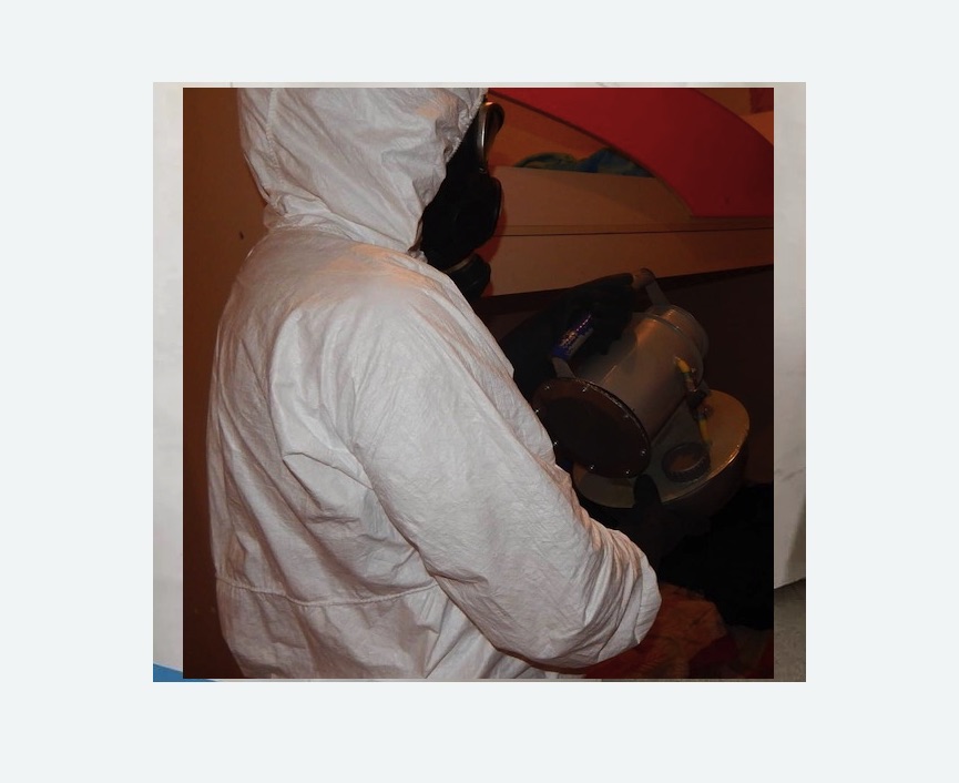 Дезинфекция от муравьев в Усинске